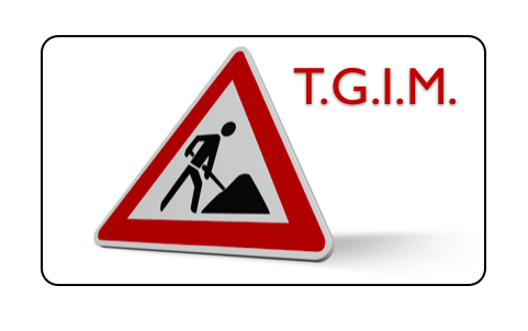 TGIM- Thank God it's Monday, The Myndset Marketing Digital and Brand Strategy